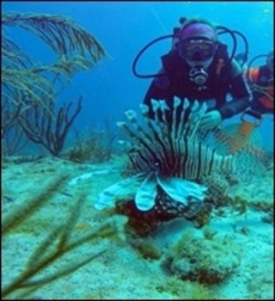 Walker-Blakeway poses underwater with a lionfish in the foreground. 