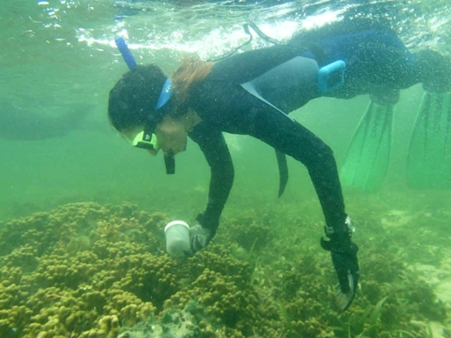 Miglietta diving in Bocas del Toro, Panama on a specimen collection trip.