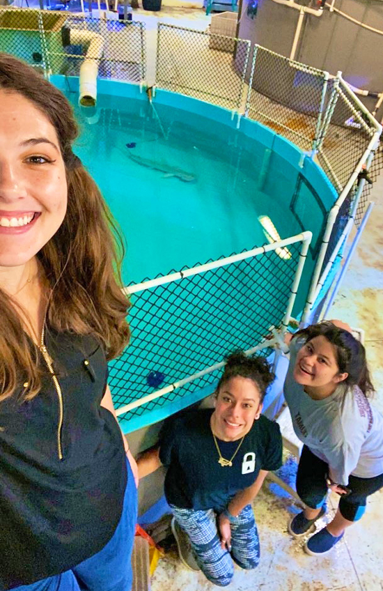 Interns Anahy Garza, an undergraduate student, and Former Student Sharleen Muñoz aid Simonitis in marine biology research in the university’s Ecomorphology and Comparative Physiology Lab. 