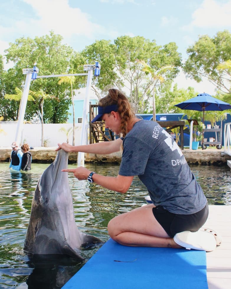 Rhiannon Nechero sitting on a platform facing a dolphin in the water at her internship. Rhiannon's hand is touching the dolphin's snout.