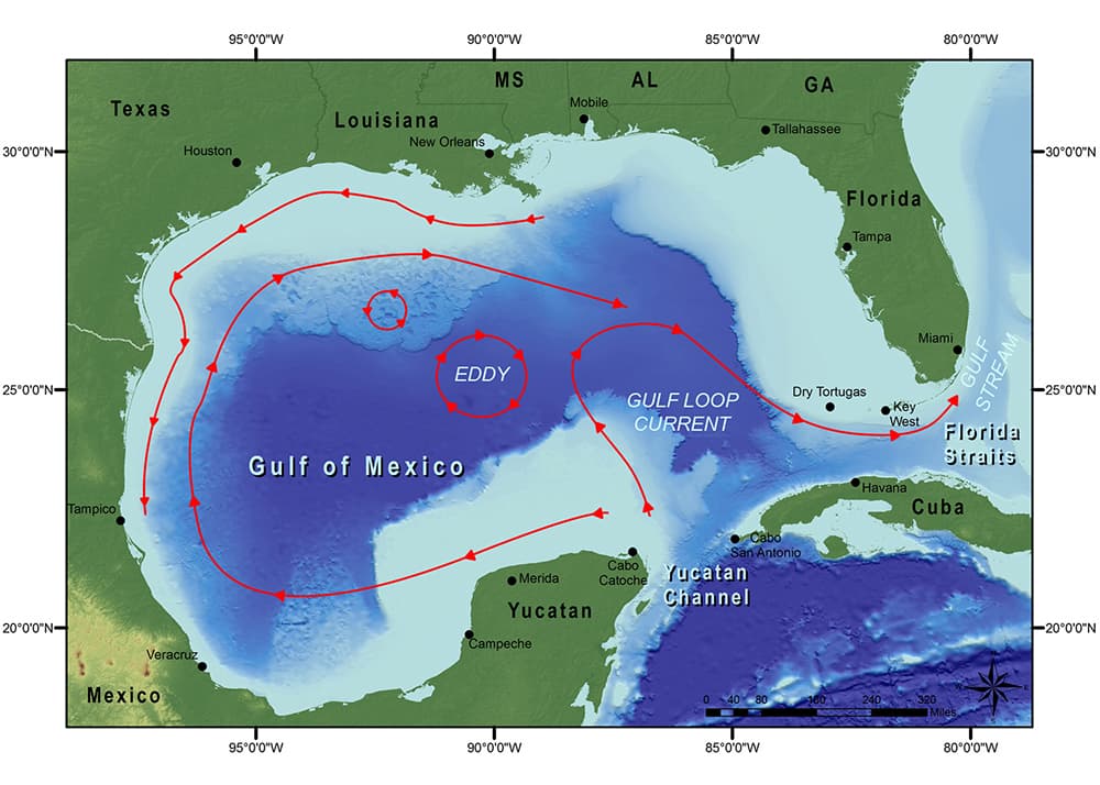 GoM Currents