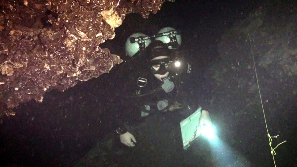 Fernando Calderon-Gutierrez conducting a biological survey in an anchialine cave