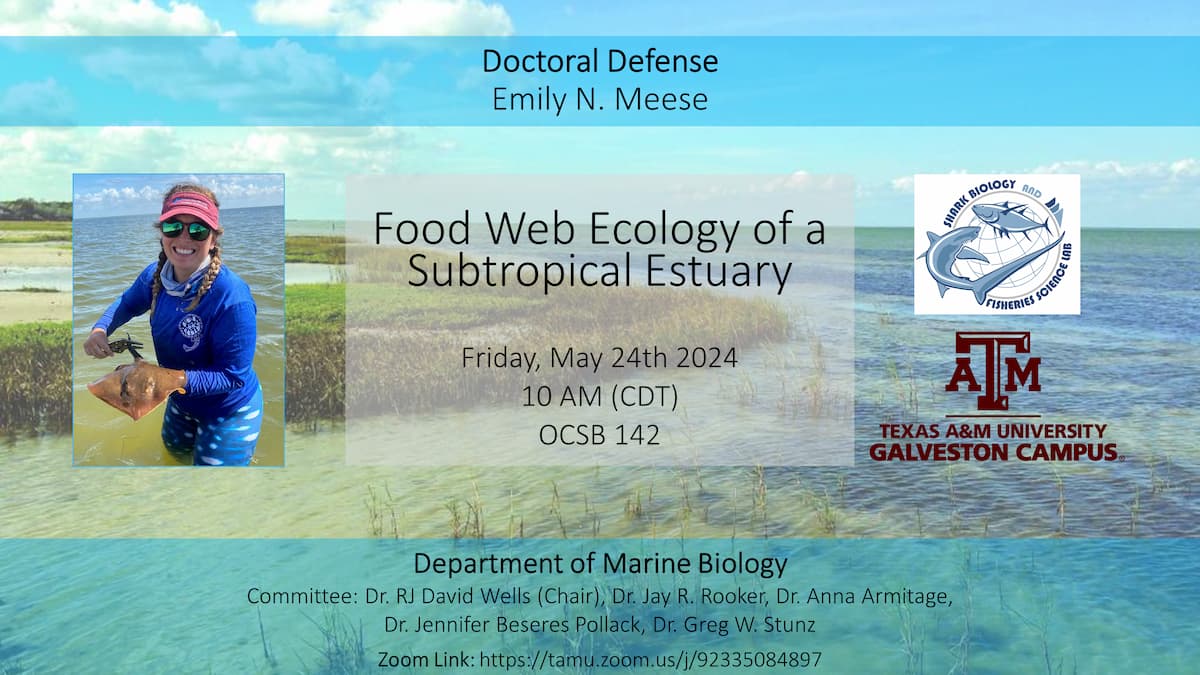 Emily Meese's Doctoral Defense