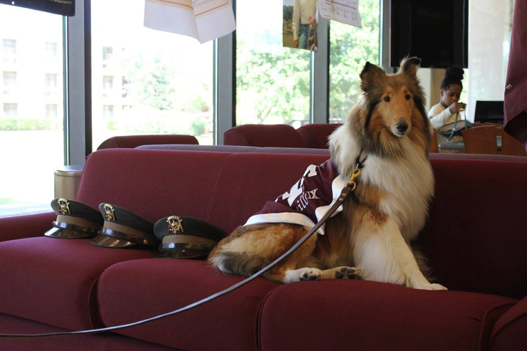 Texas A&M unveils Reveille X to the world