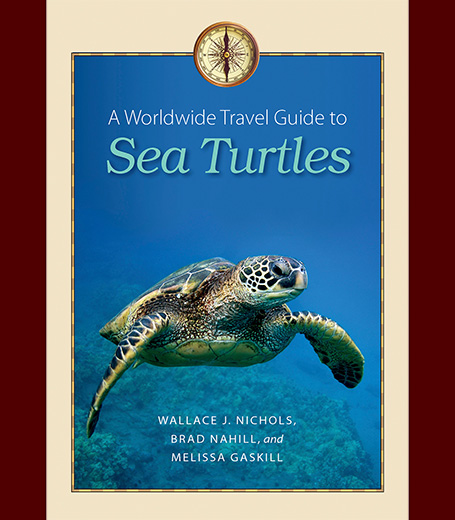 Cover of A Worldwide Travel Guide to Sea Turtles book 